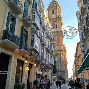 https://luxury-catedral.1costadelsol.com